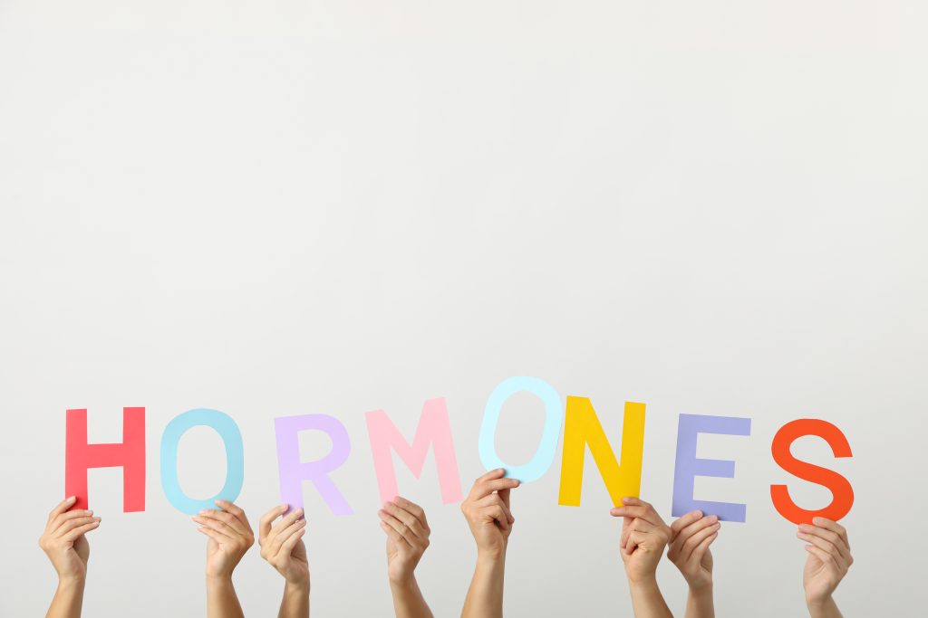 The word hormones in blocks being held up by human hands.
