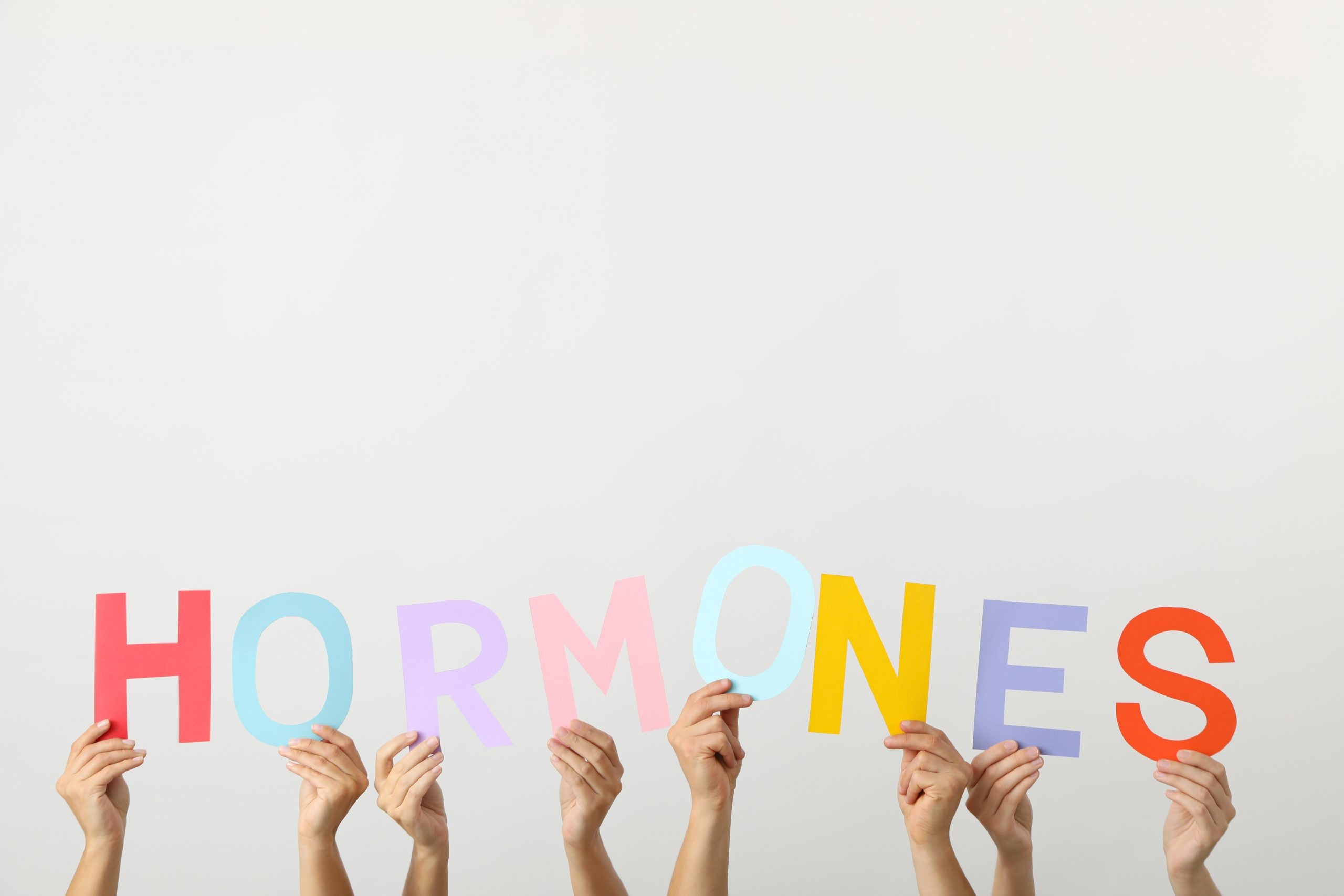 The word hormones in blocks being held up by human hands.